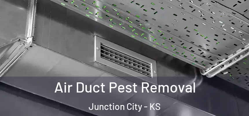  Air Duct Pest Removal Junction City - KS