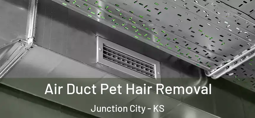 Air Duct Pet Hair Removal Junction City - KS