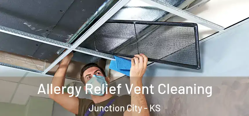 Allergy Relief Vent Cleaning Junction City - KS