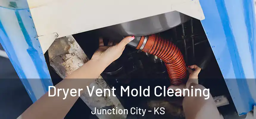 Dryer Vent Mold Cleaning Junction City - KS