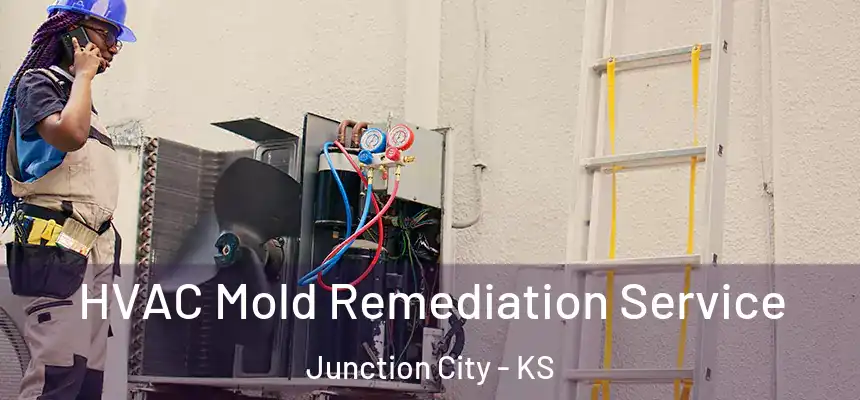  HVAC Mold Remediation Service Junction City - KS