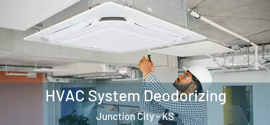 HVAC System Deodorizing Junction City - KS