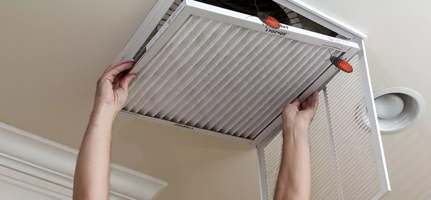 Preventive Cockroach-Proofing for Ducts in Junction City