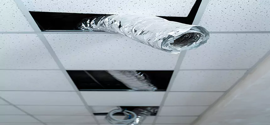 Our Air Duct Pet Hair Removal Services in Junction City, KS