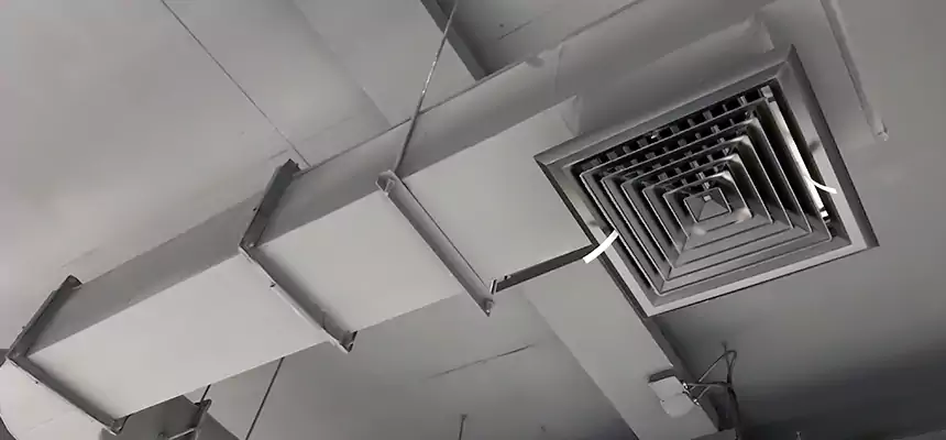 Our Pest Removal From Ducts Services in Junction City, KS