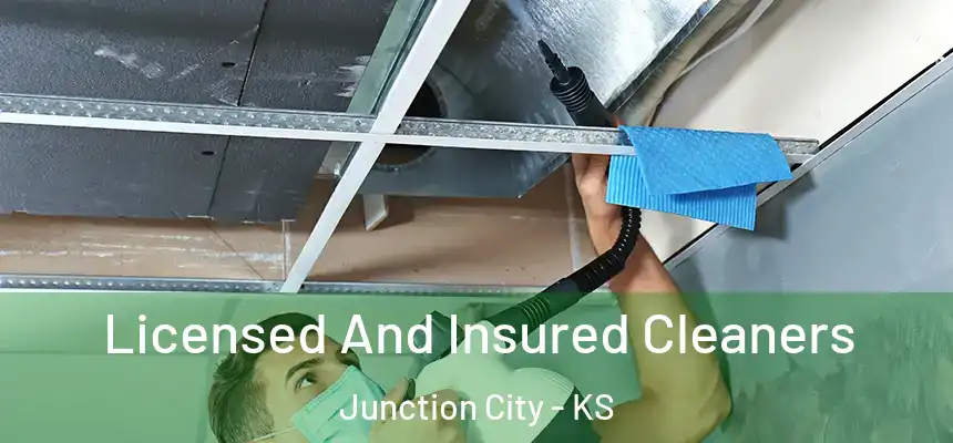  Licensed And Insured Cleaners Junction City - KS