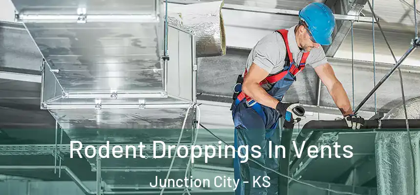  Rodent Droppings In Vents Junction City - KS