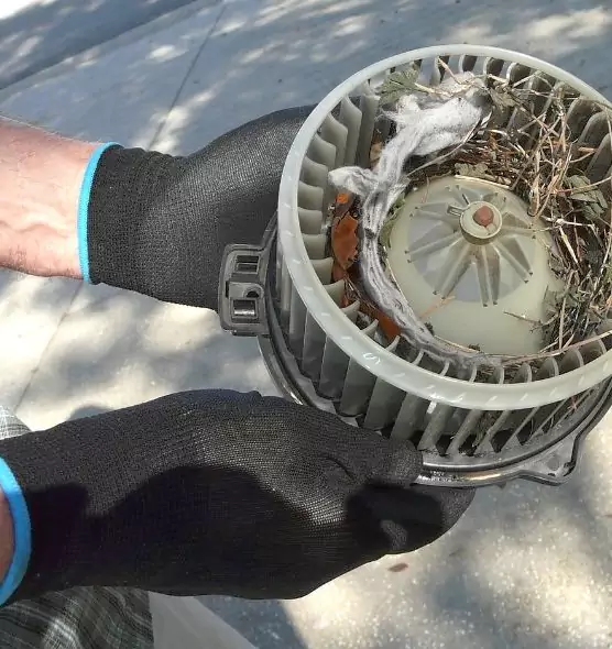 About Air Duct Mice Removal in Junction City, KS