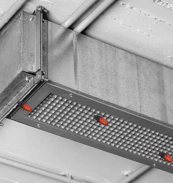 Affordable Insect Removal from Air Ducts in Junction City, KS