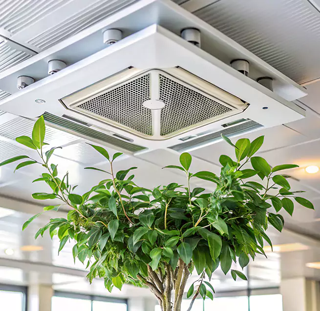 Why Homeowners & Businesses Trust Us in Junction City, KS?